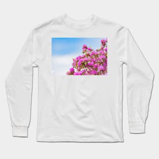 Vibrant Pink Rhododendron Blossoms and Blue Sky Long Sleeve T-Shirt